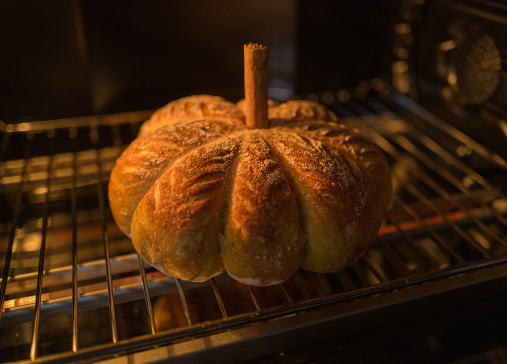 Sourdough Pumpkin Loaf – Cairnspring Mills