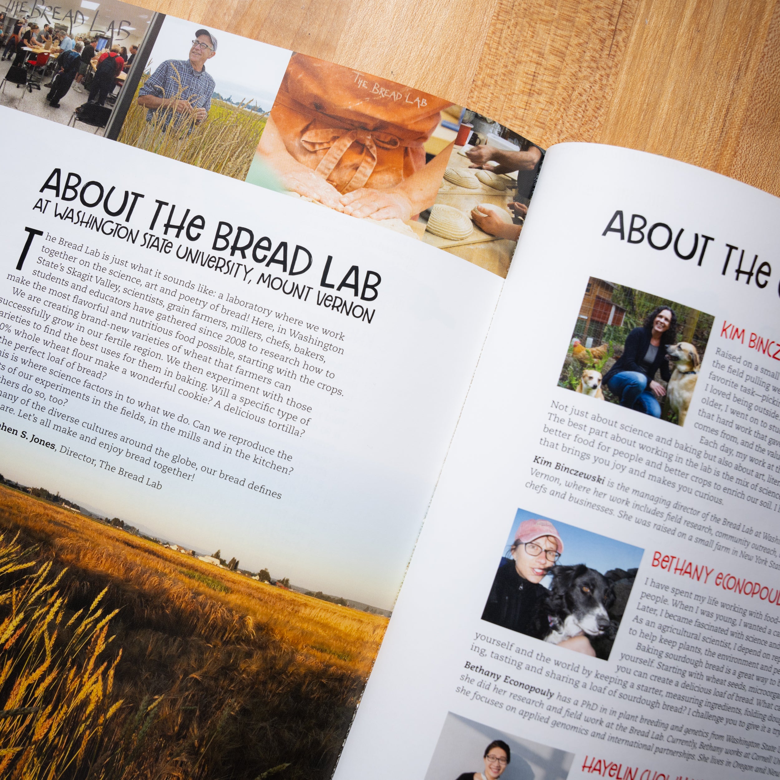 Bread Lab! Book