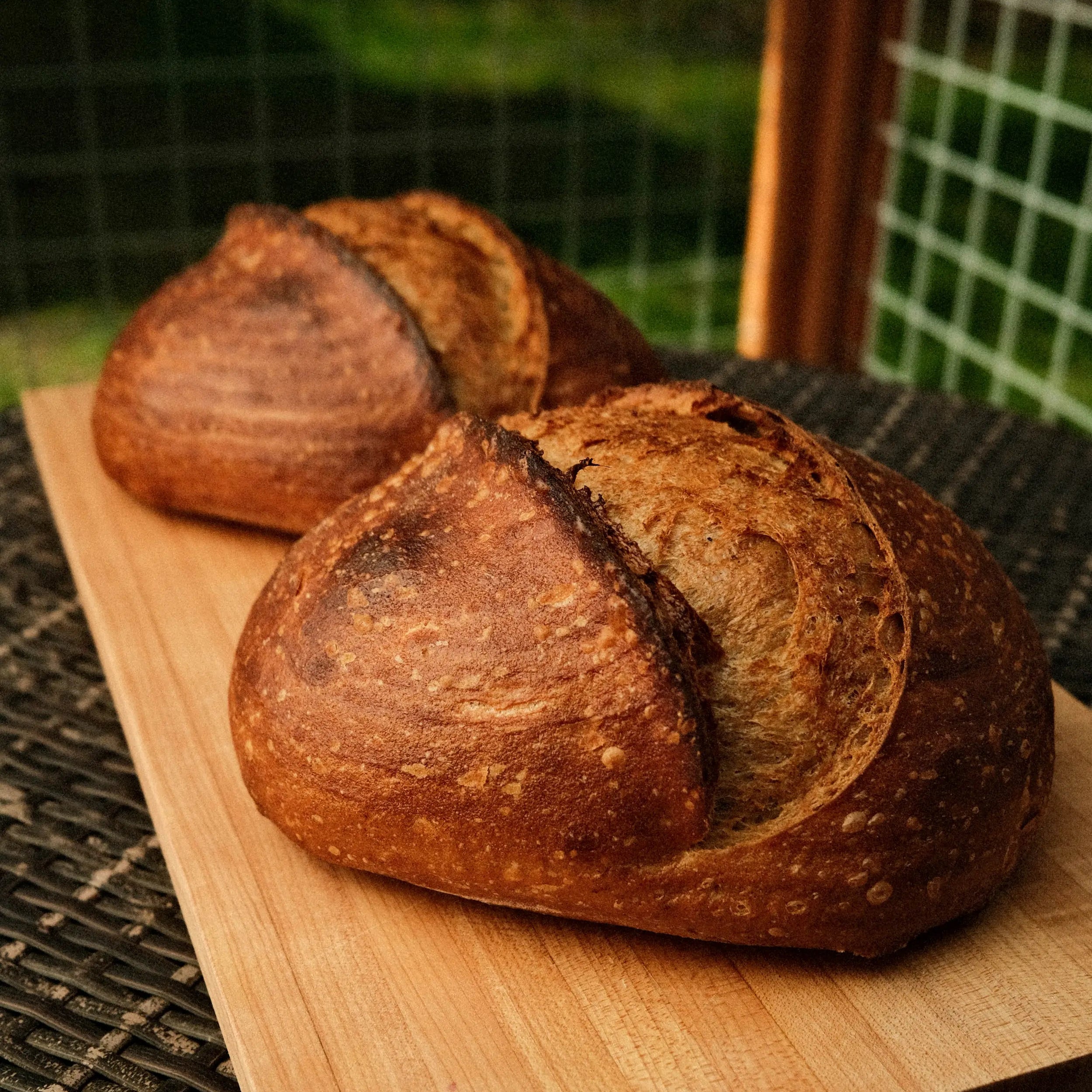 Trailblazer Bread Flour