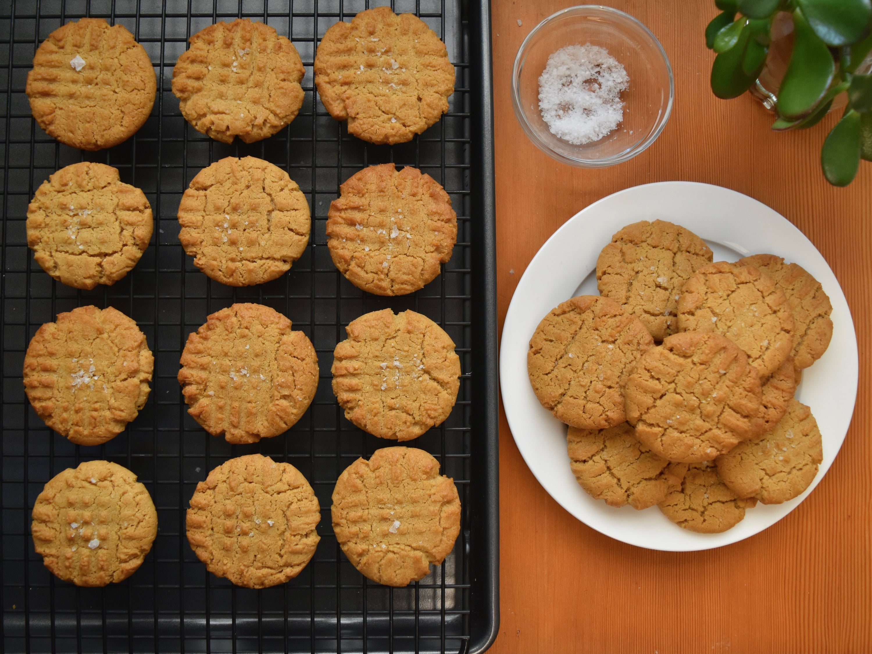 Peanut Butter Cookies