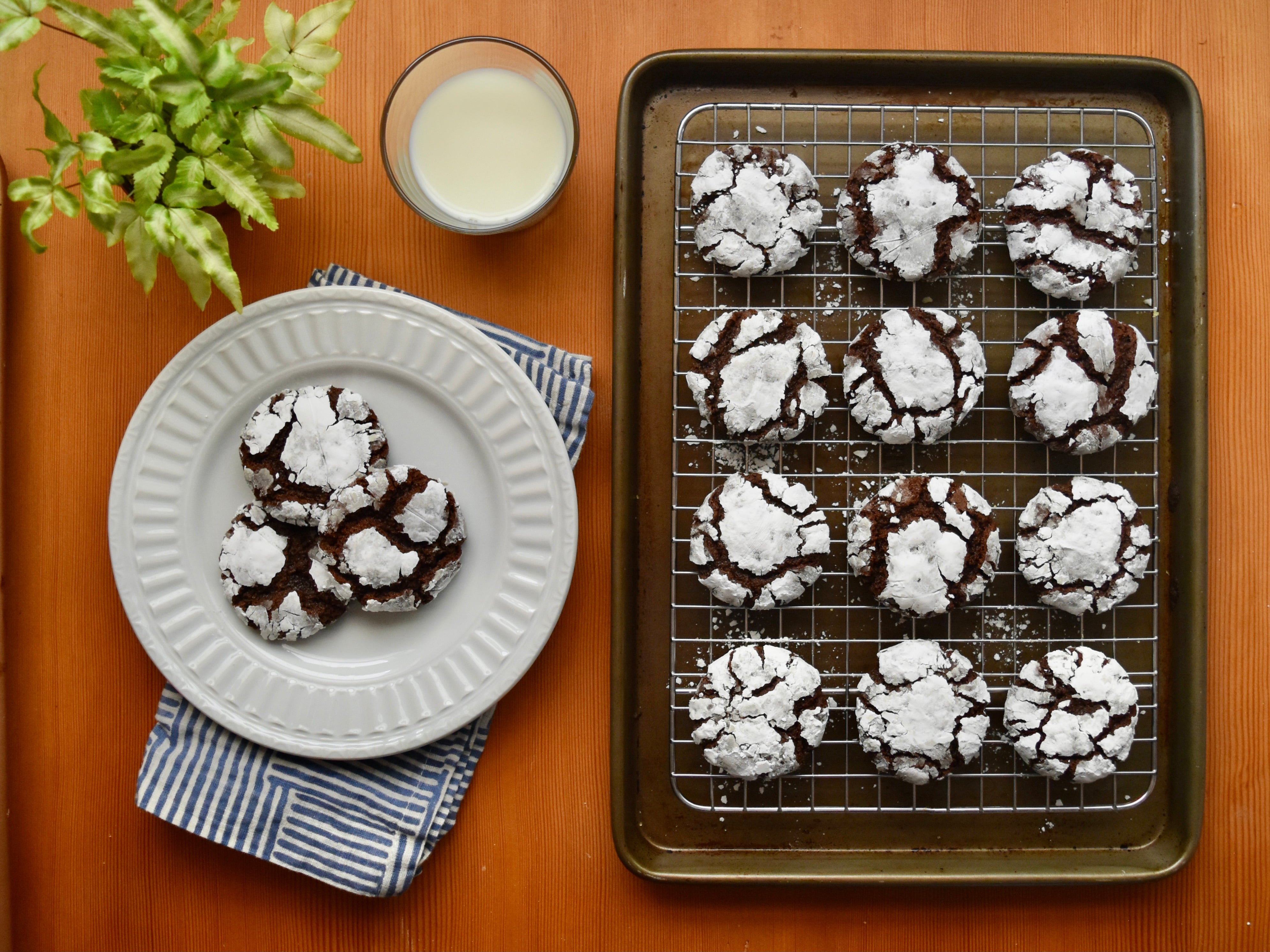 Nana's Chocolate Crinkle Cookies – Cairnspring Mills