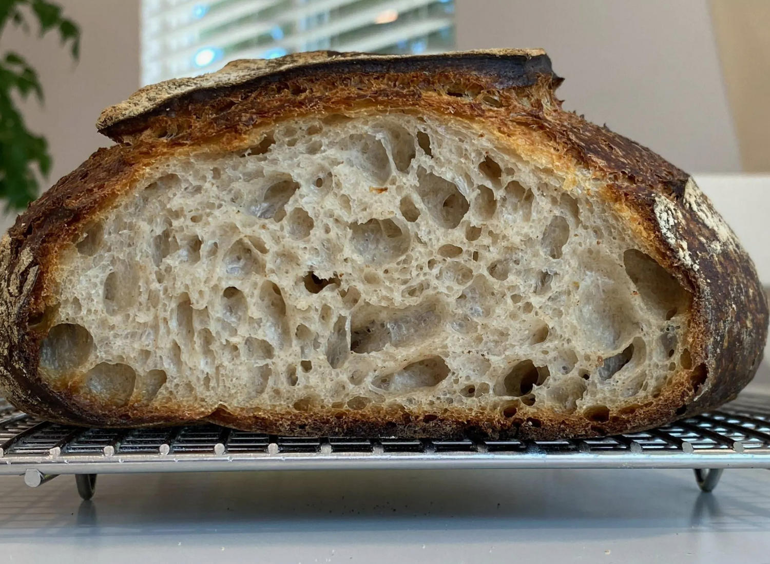 Rustic Sourdough Bread