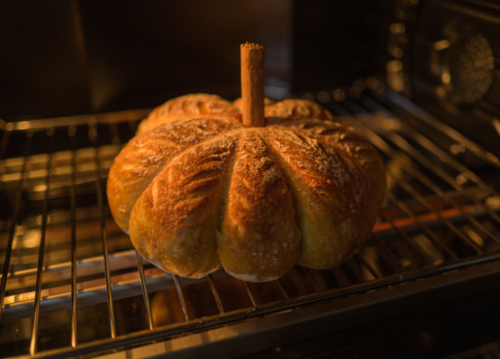 Sourdough Pumpkin Loaf