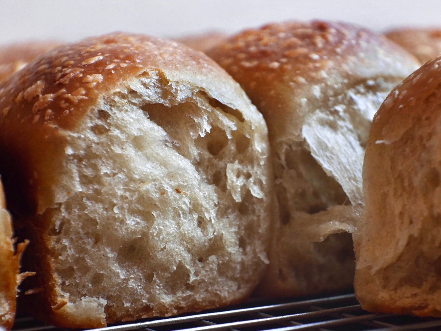 Pull-Apart Sourdough Dinner Rolls