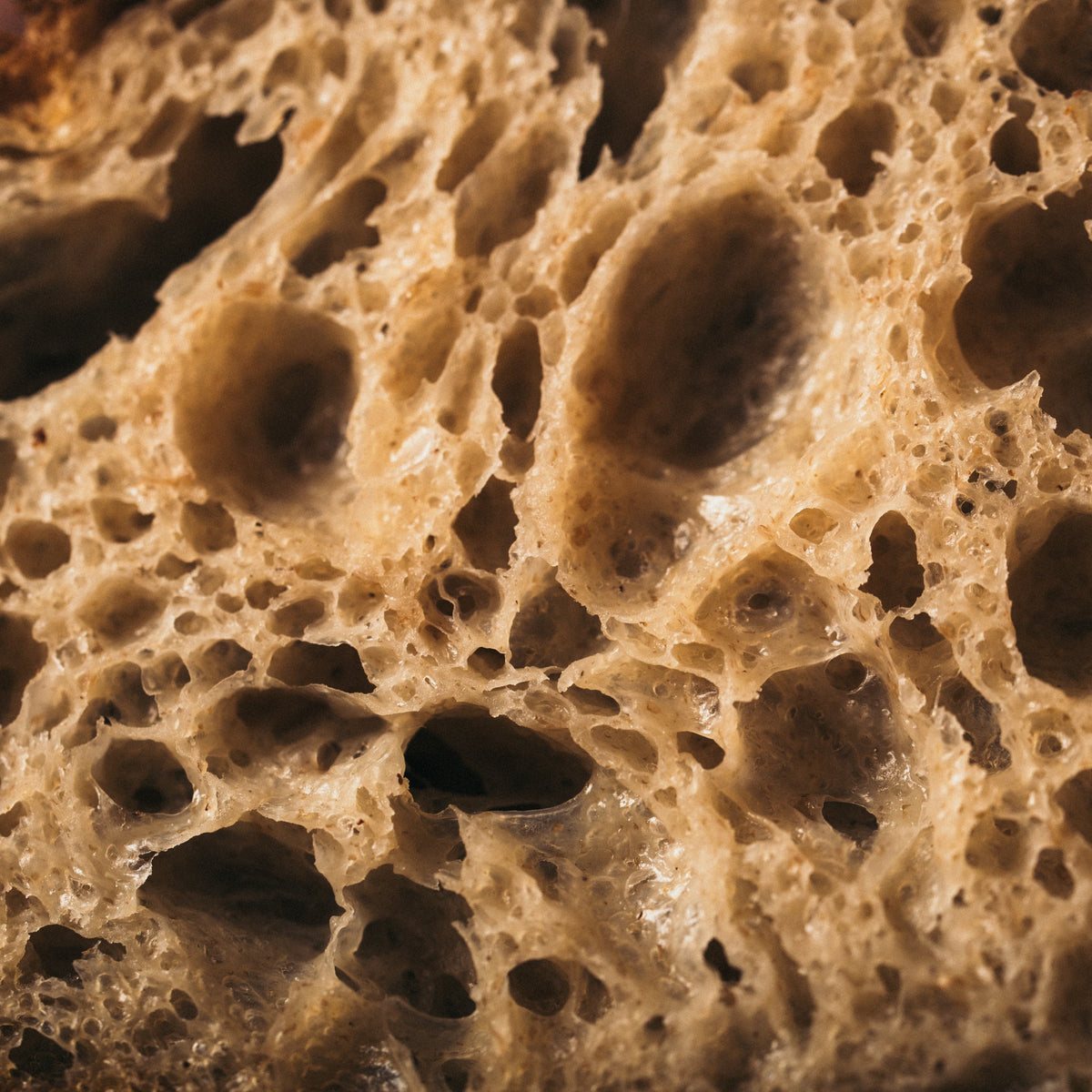 Sourdough Starter Bundle