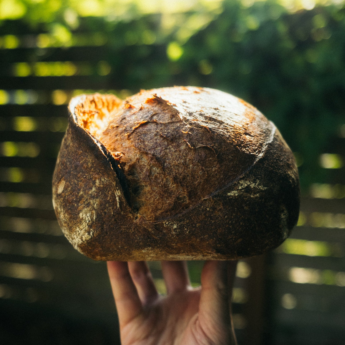 Sourdough Starter Bundle
