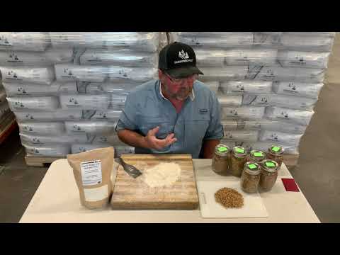 
            
                Load and play video in Gallery viewer, Organic Skagit 1109 T85 Specialty Flour
            
        